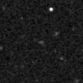 2025exf_image