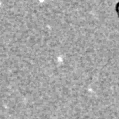 2025exj_image