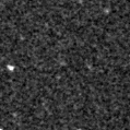 2025exp_image