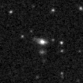 2025fec_image