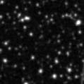 2025fhj_image