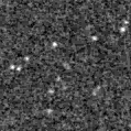 2025fig_image
