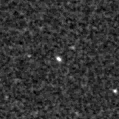 2025fii_image