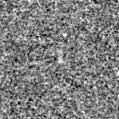 2025fjd_image