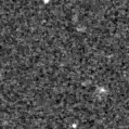 2025fjr_image