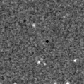 2025fkm_image