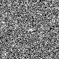 2025fks_image