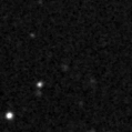 2025fla_image