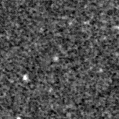 2025fle_image