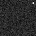 2025fln_image