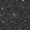 2025fon_image