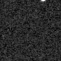 2025fpd_image