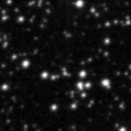 2025fr_image