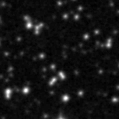 2025fsz_image