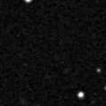 2025fud_image