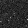 2025fwf_image