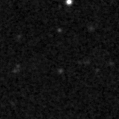 2025fxm_image