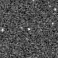 2025fxp_image