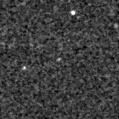 2025fxz_image