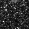 2025ggn_image