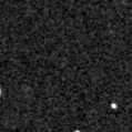 2025glc_image