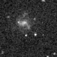 2025gvs_image