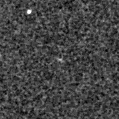 2025hay_image