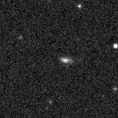 2025hca_image