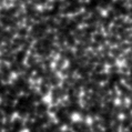 2025hfm_image