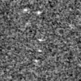 2025hfu_image