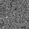 2025hgs_image