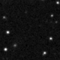 2025hlx_image