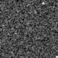 2025hmj_image