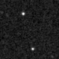 2025hum_image