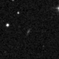 2025hyi_image