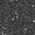 2025hzp_image