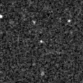 2025ifg_image