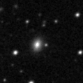 2025ifq_image