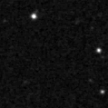 2025iho_image