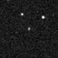 2025ihw_image
