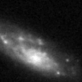 2025iiu_image