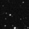 2025ijm_image