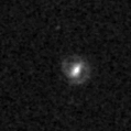 2025imm_image