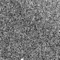 2025iob_image