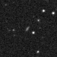 2025ipa_image