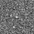 2025ipb_image