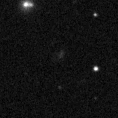 2025ipd_image