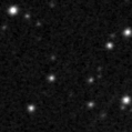 2025ipj_image