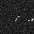 2025ipm_image