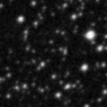 2025ipw_image